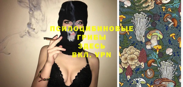 спиды Бронницы