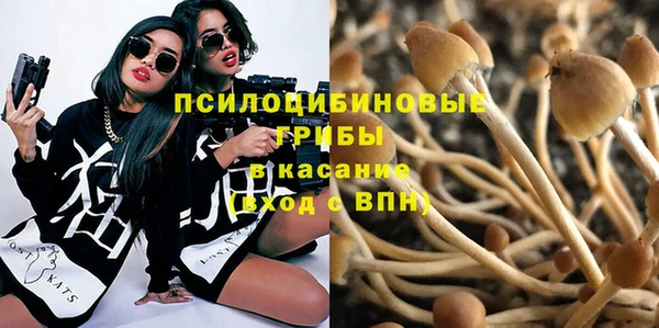а пвп мука Бугульма