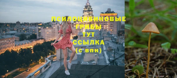 спиды Бронницы