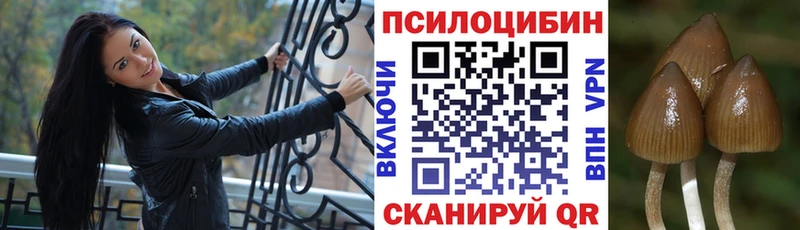 Псилоцибиновые грибы Cubensis как найти закладки Нурлат